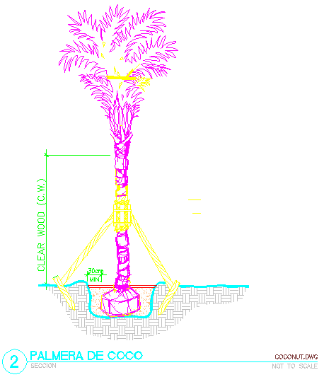 Coconut Palms Trees Plant Front View Elevation 2d Dwg Block For Autocad