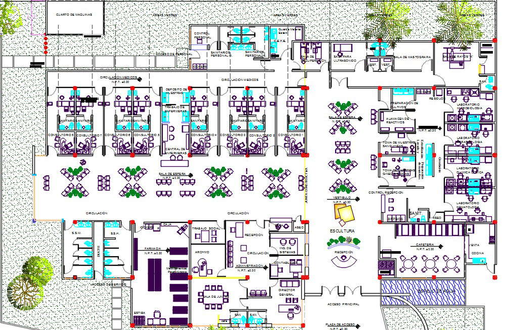 Hospital Layout Plan AutoCAD Drawing With Furniture Design DWG File