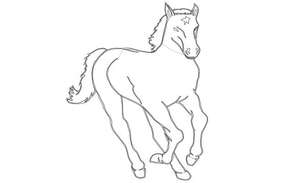 Horse plan and elevation with animal block design dwg file - Cadbull