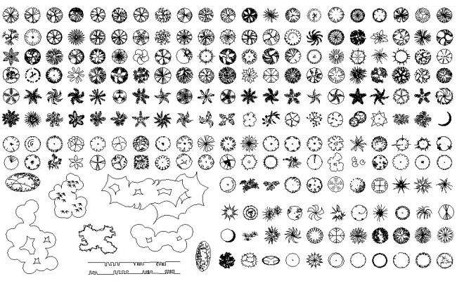 Deciduous forest trees multiple cad blocks details dwg file - Cadbull