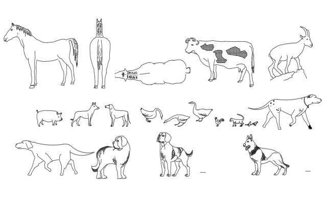 Kits animal miscellaneous blocks cad drawing details dwg file - Cadbull