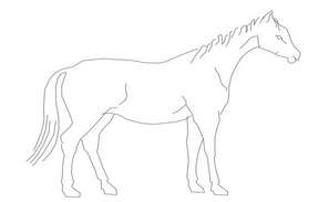 Cad Block Design - Cadbull