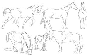 Camel side elevation block cad drawing details dwg file - Cadbull