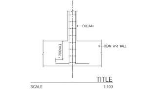 Elevation and section main gate detail dwg file - Cadbull