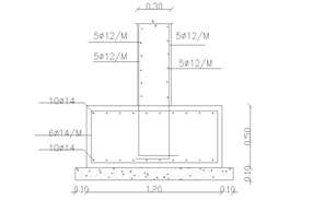 Column plan and section autocad file - Cadbull