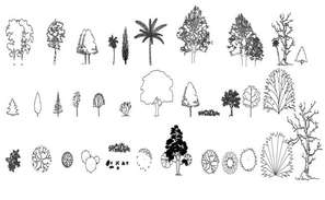 Various tree plants garden blocks cad drawing details dwg file - Cadbull