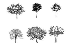 Multiple tree and plants blocks cad drawing details dwg file - Cadbull