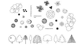 Как обозначить дерево на чертеже Drawing of trees unit block AutoCAD file - Cadbull