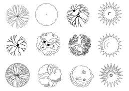 Дерево вид сверху чертеж Tulips quilting pattern DWG AutoCAD file - Cadbull