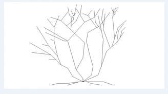 Double Wild Tree Elevation Block Cad Drawing Details Dwg File Cadbull Learn how to sketch simple trees for a landscape drawing and how to draw a more detailed tree as part of a study in itself. double wild tree elevation block cad