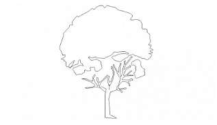 Simple tree elevation block cad drawing details dwg file - Cadbull