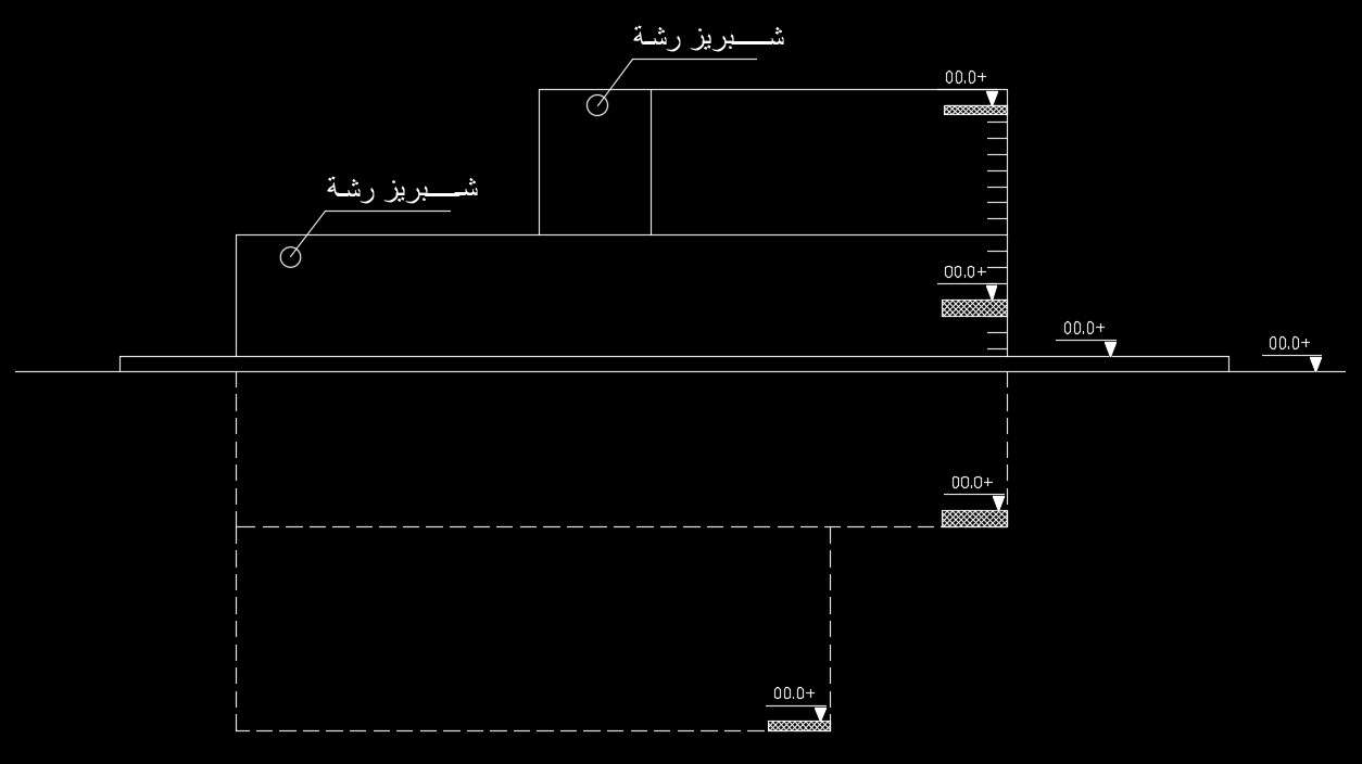 10x10m-house-plan-outer-elevation-view-cadbull