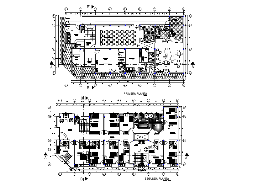 25x13m communal hall plan has given in this Autocad DWG drawing file ...