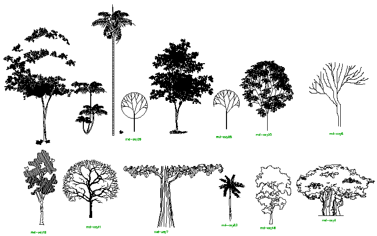 Heighted Tree cad drawing is given in this cad file. Download this cad ...