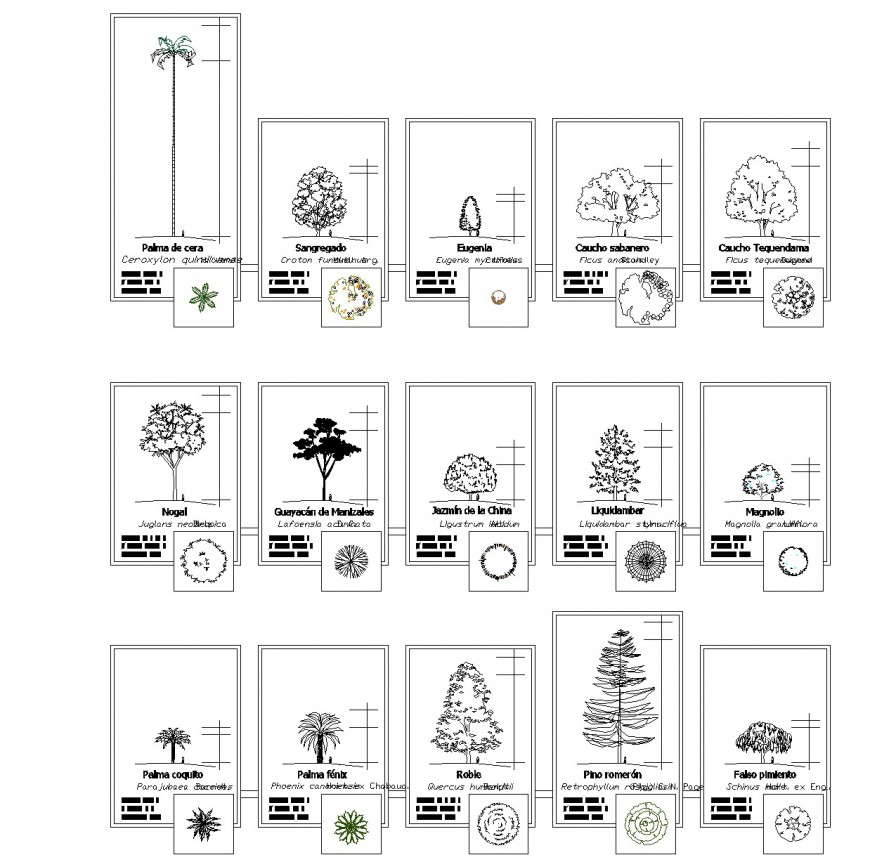 tree plan autocad