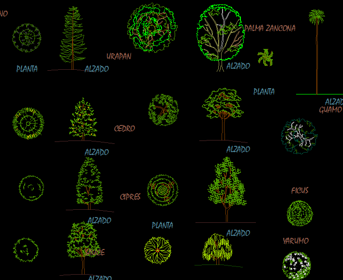 Tree Cad Blocks Are Given In This Cad File. Download This Cad File Now 