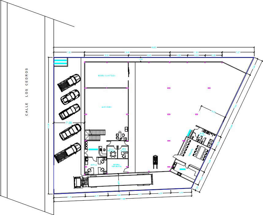 45x31m Showroom Autocad Drawing Is Given In This File - Cadbull