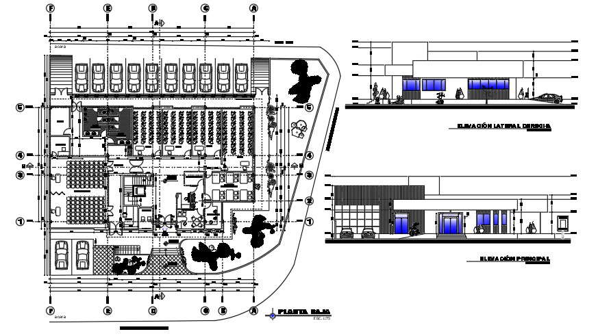 50x40 Meter school plan of the furniture’s layout drawing - Cadbull