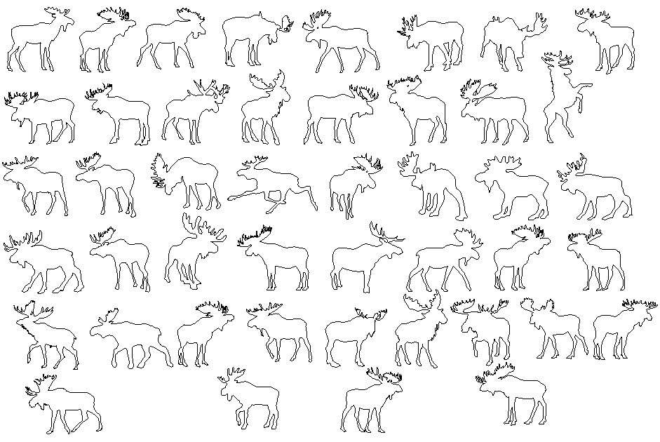 Standing horse front elevation 2d block cad drawing details dwg file -  Cadbull