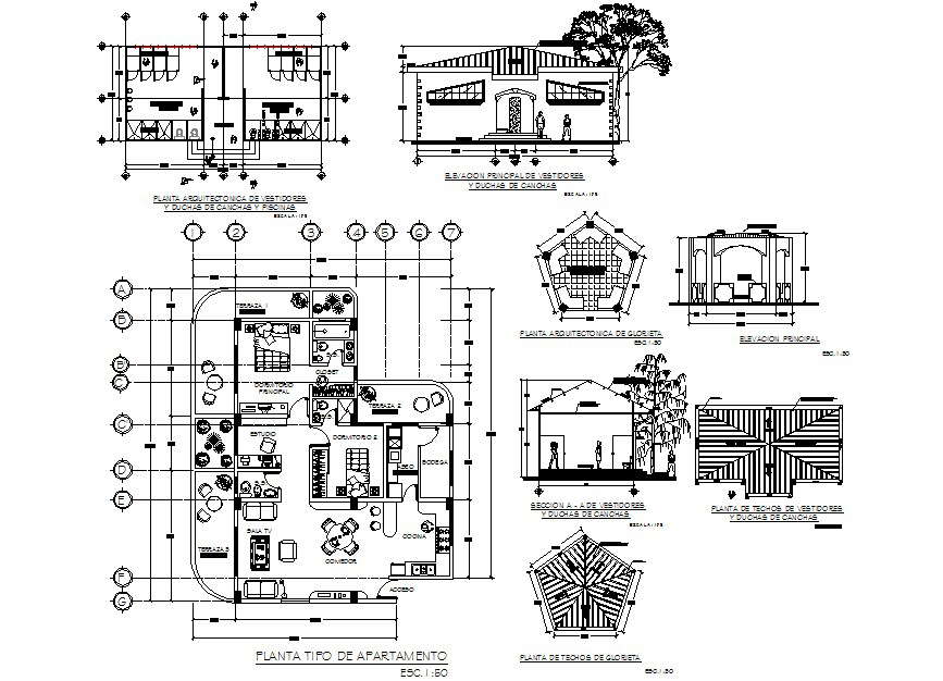 Apartment plan, elevation and section detail dwg file - Cadbull