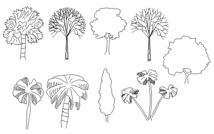 AutoCAD blocks of trees in 2D drawing, dwg file, CAD file - Cadbull