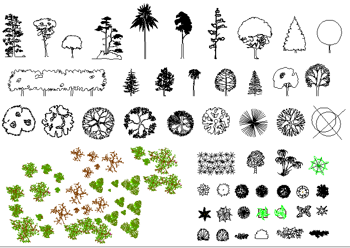 Деревья в плане автокад