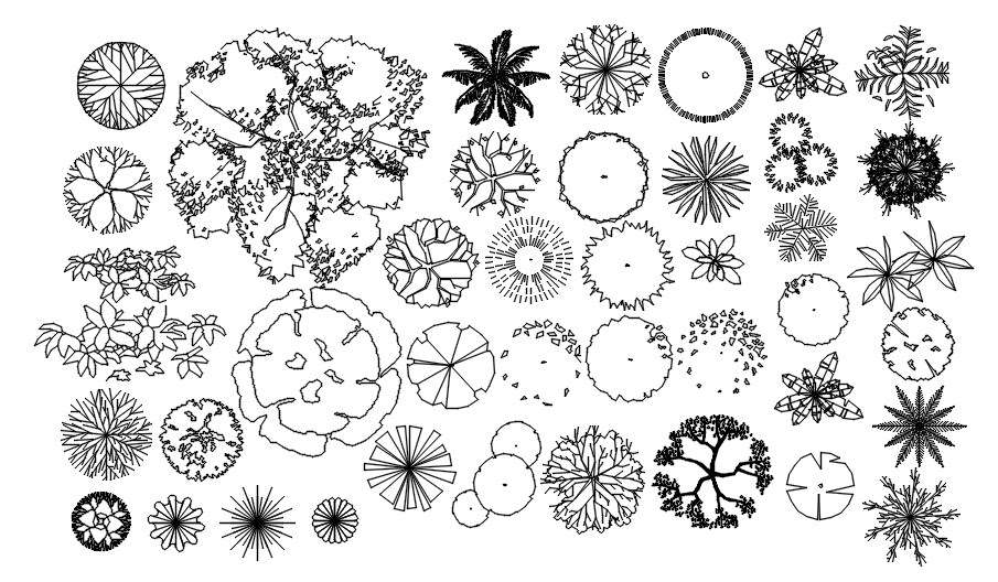 Detailed CAD blocks of trees in AutoCAD 2D, dwg file, CAD file - Cadbull