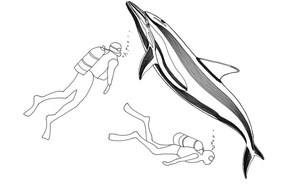 Dolphin eating fish blue  Stock Illustration 76966306  PIXTA