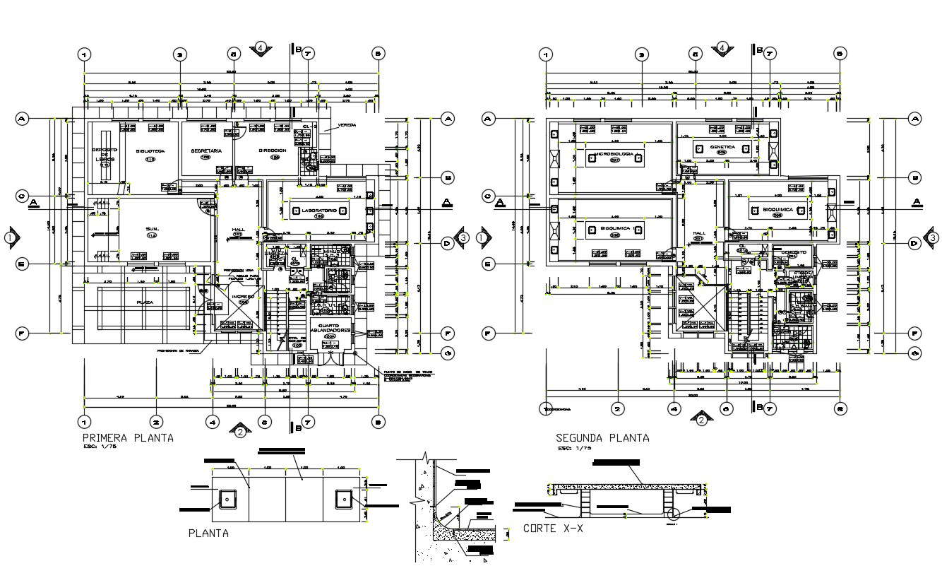 Download University Plan - Cadbull