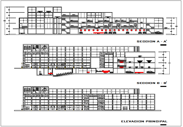 Elevation And Section View Of Government Building Dwg File - Cadbull