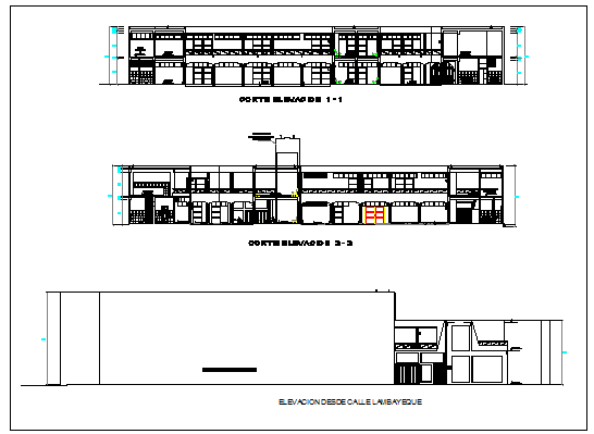 Elevation design of School of music design drawing - Cadbull