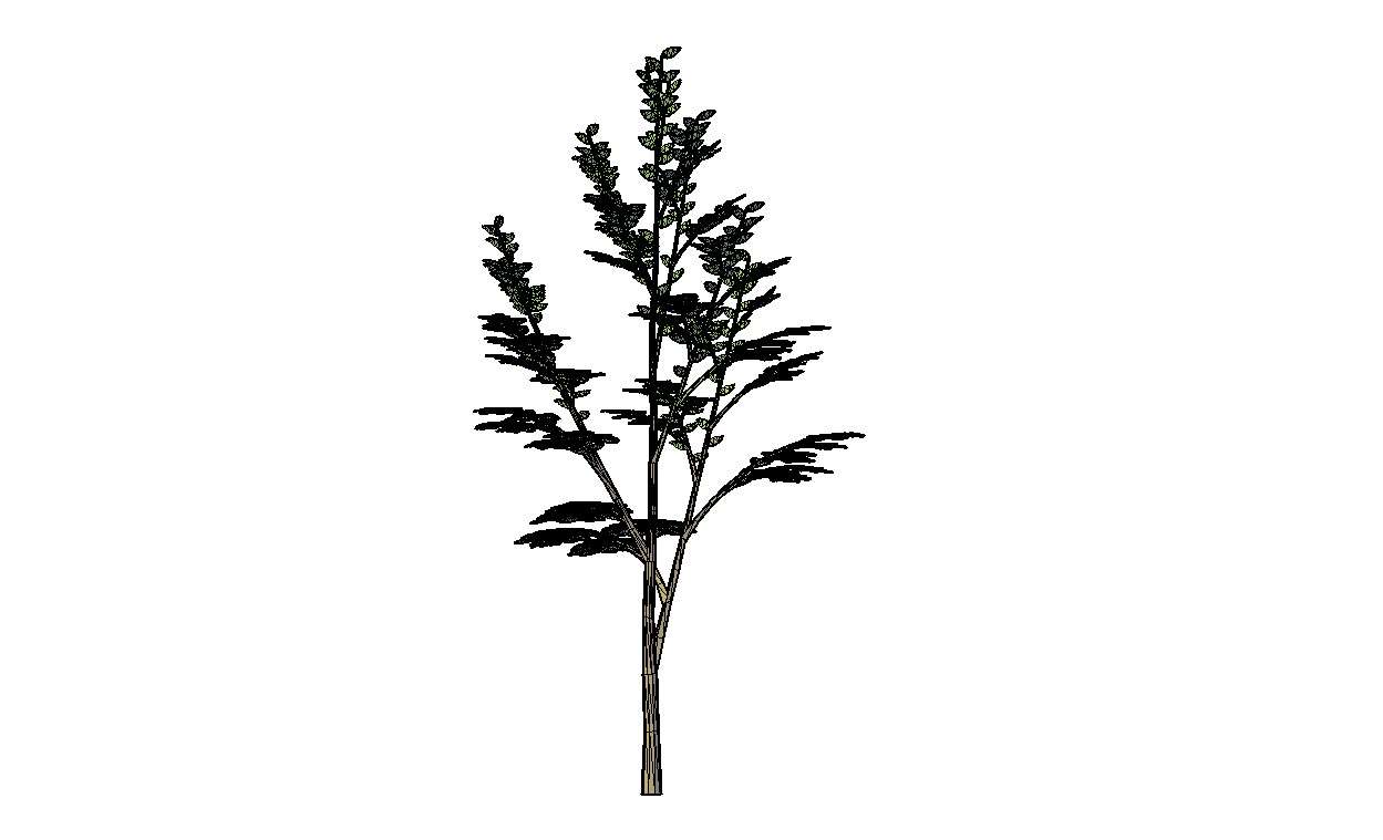 trees and plants cad blocks free download