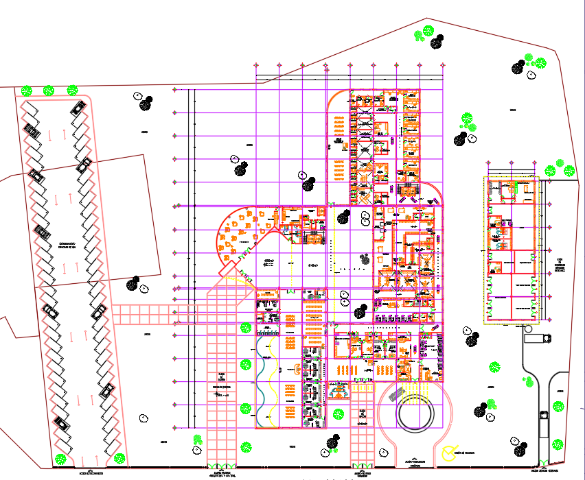 Hospital Layout - Cadbull