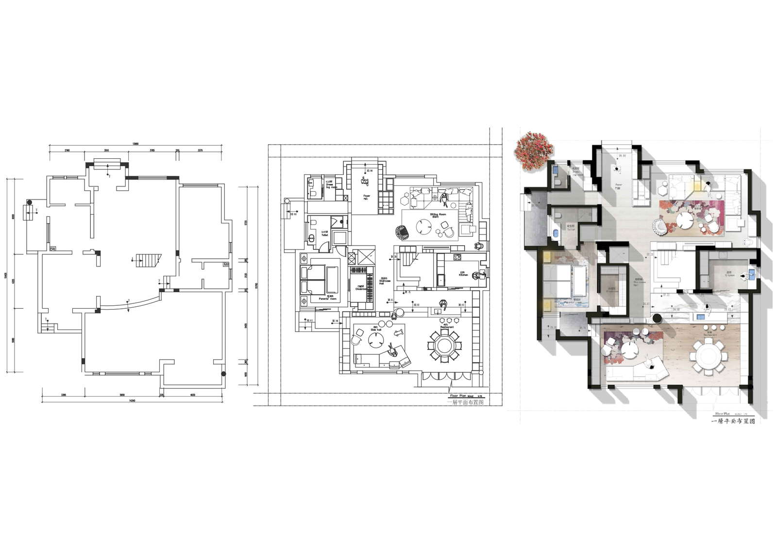 house-plan-with-furniture-layout-and-photoshop-render-with-detailed-dwg