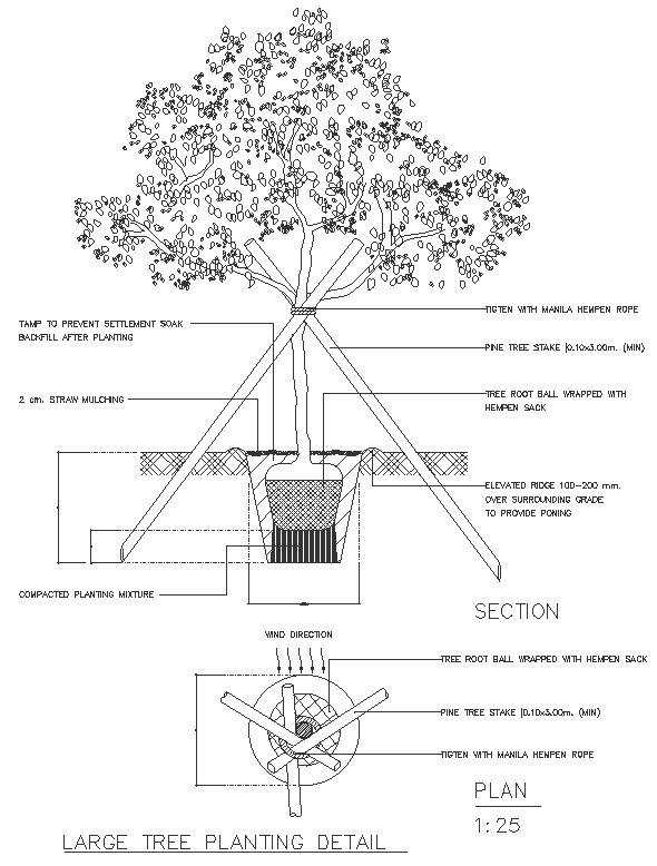 Large tree planting detail section plan and elevation DWG autoCAD ...