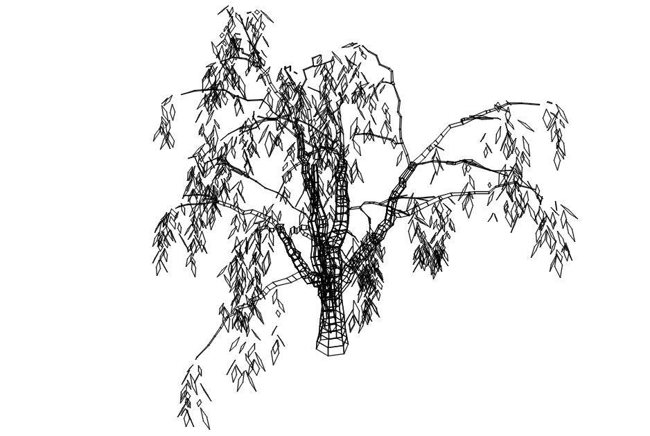 Neem Tree Leaf Drawing, HD Png Download - kindpng
