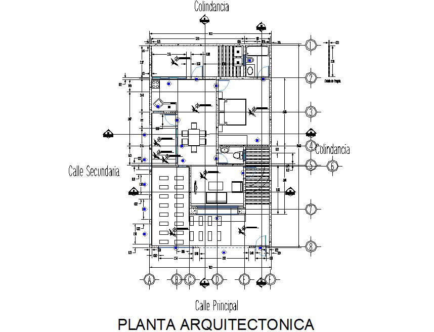 Plan architect house detail dwg file - Cadbull