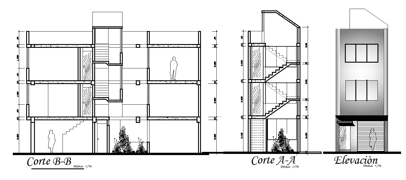 Row House Building Sectional Elevation Design Download DWG File - Cadbull