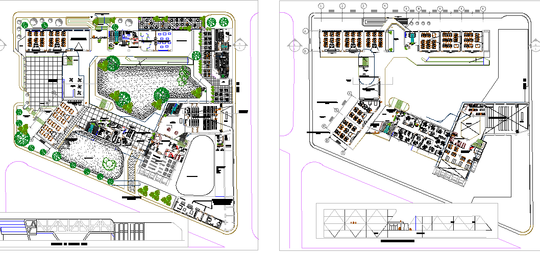 School Architecture Layout Section and Elevation dwg file - Cadbull