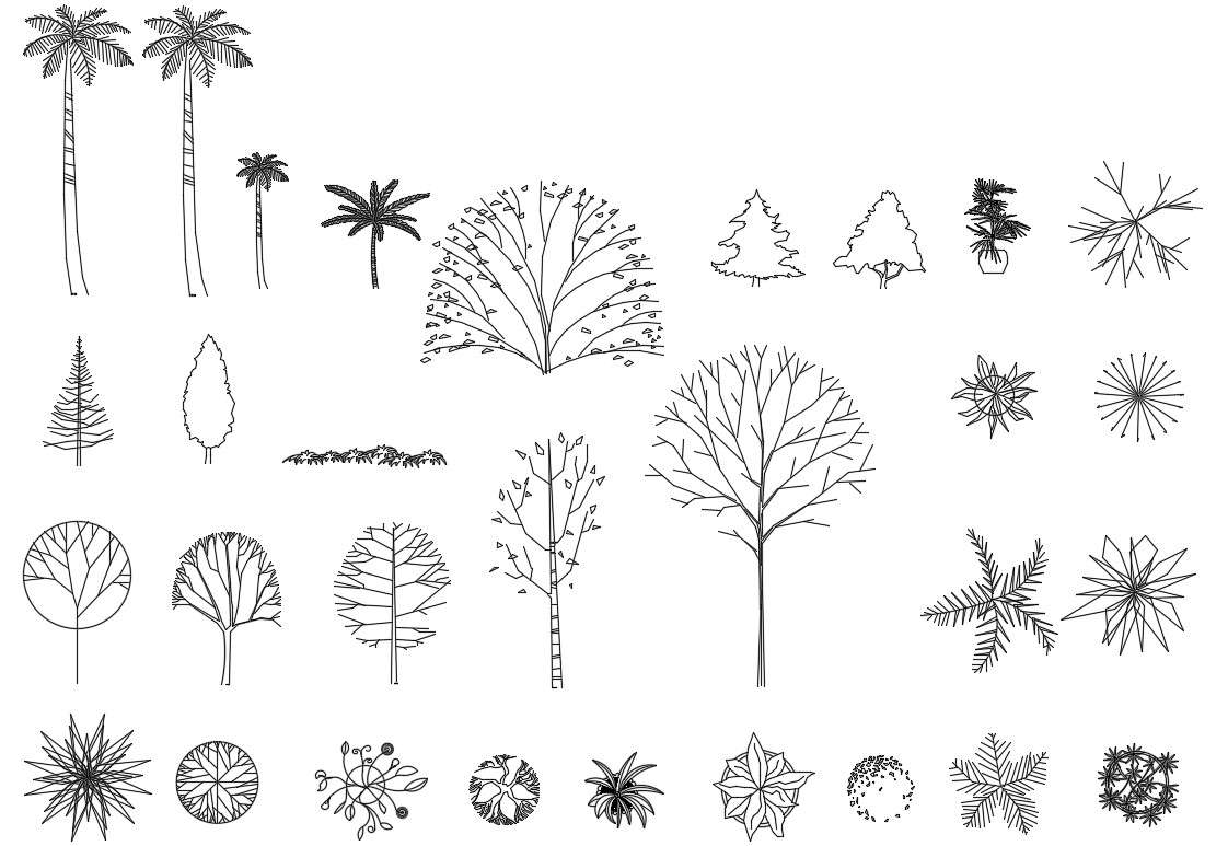 Tree CAD Block Download - Cadbull