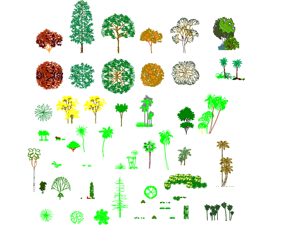 Tree cad plan detail dwg file. - Cadbull