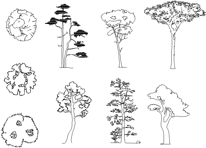 Tree detail dwg file - Cadbull