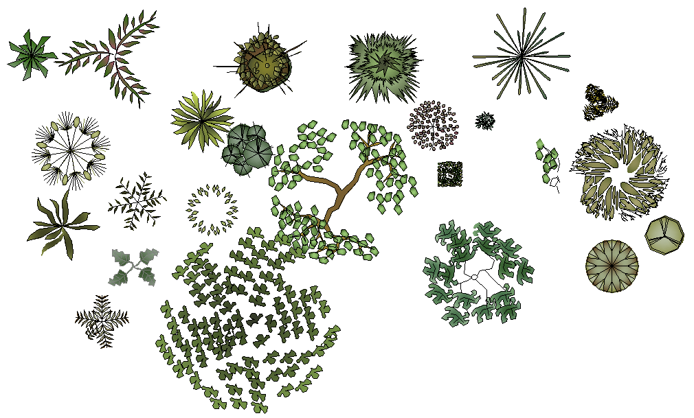 Tree elevation plan detail dwg file - Cadbull