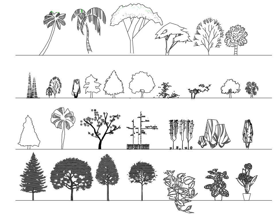 Tree plan design - Cadbull