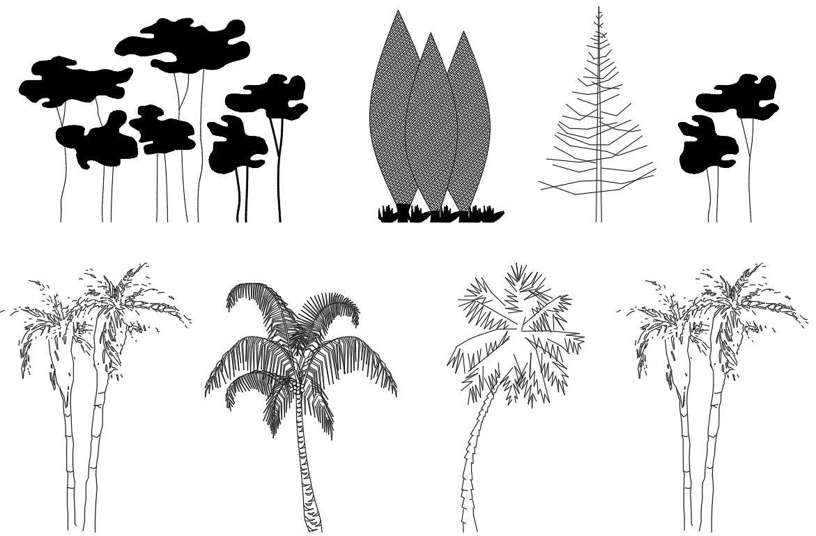 Elevation Tree png images | PNGWing