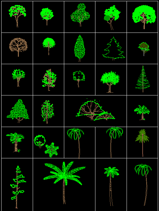 Arboles Palmeras blocks dwg cad drawings. Download now. - Cadbull