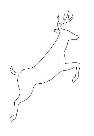 White tailed 2D plan cad drawing is given in this file - Cadbull