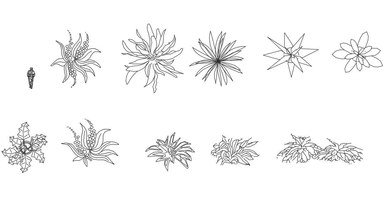 Wonderful eleven various types of plant blocks drawings are available ...