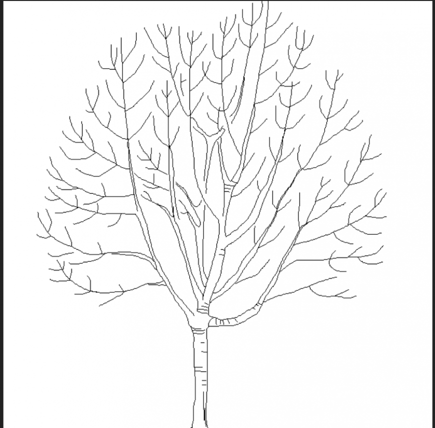 Abscission tree with detail dwg file. - Cadbull