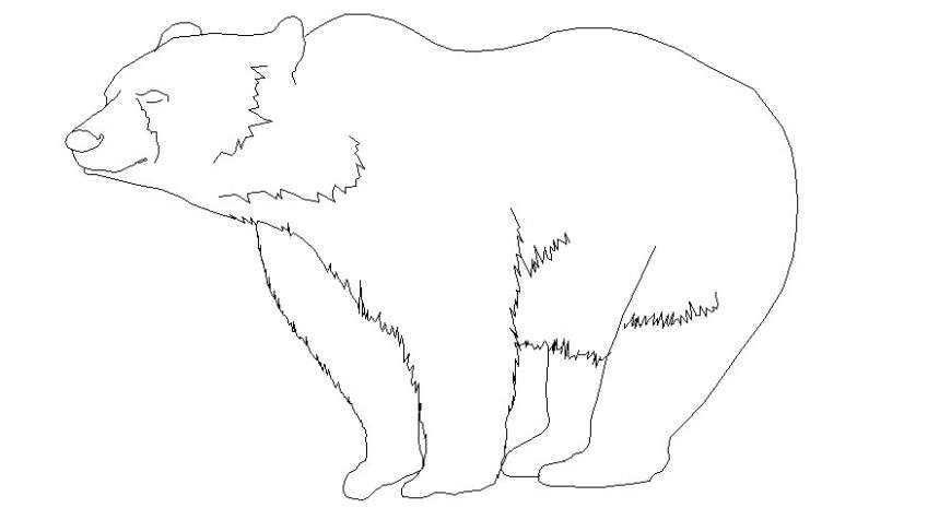 Bear drawings 2d view of animal blocks details in autocad software - Cadbull
